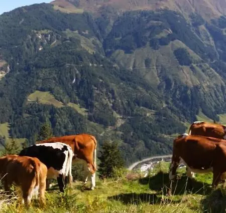 Farmház Hintergugg *
