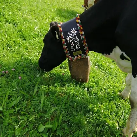 Farm stay Hintergugg Mittersill