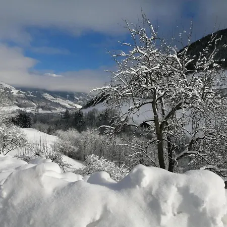 Hintergugg * Mittersill