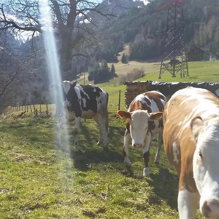 Farmház Hintergugg *