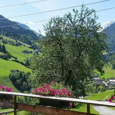 Lantgård Hintergugg Mittersill