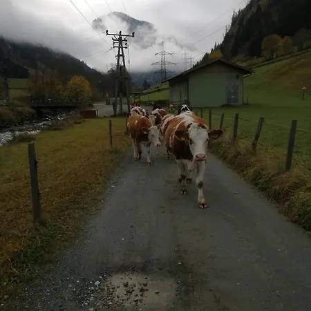 Hintergugg