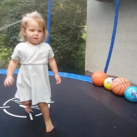 Lantgård Hintergugg Mittersill