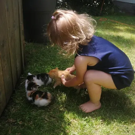 Фермерский дом Hintergugg