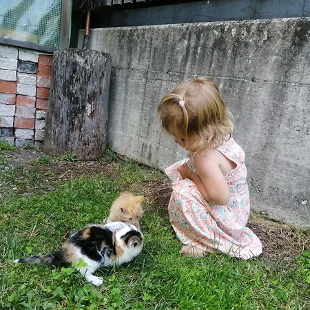 Farmház Hintergugg *