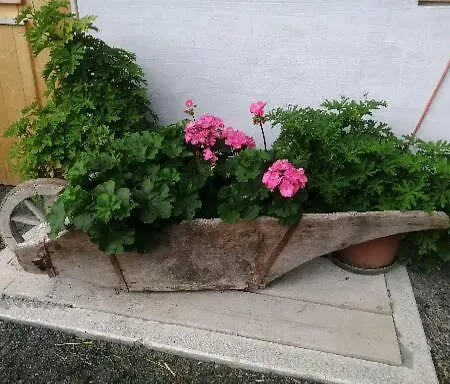 Hintergugg * Миттерзилль