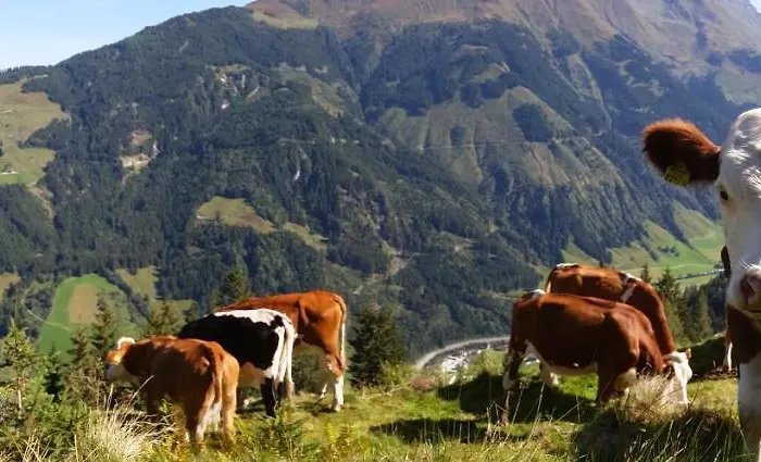 Gospodarstwo agroturystyczne Hintergugg *
