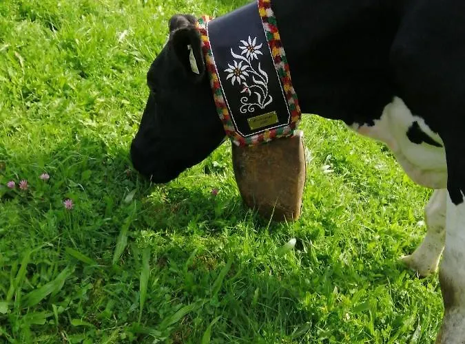 Gospodarstwo agroturystyczne Hintergugg Mittersill