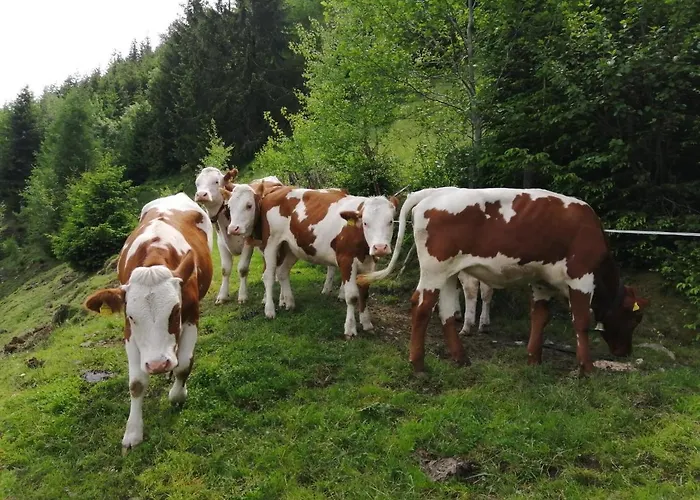 Hintergugg Mittersill