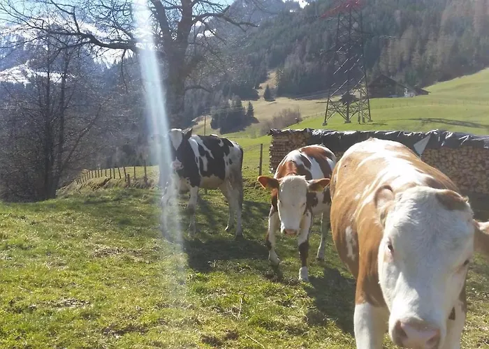 Gospodarstwo agroturystyczne Hintergugg *
