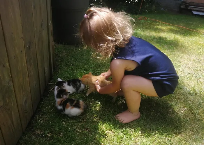 Gospodarstwo agroturystyczne Hintergugg