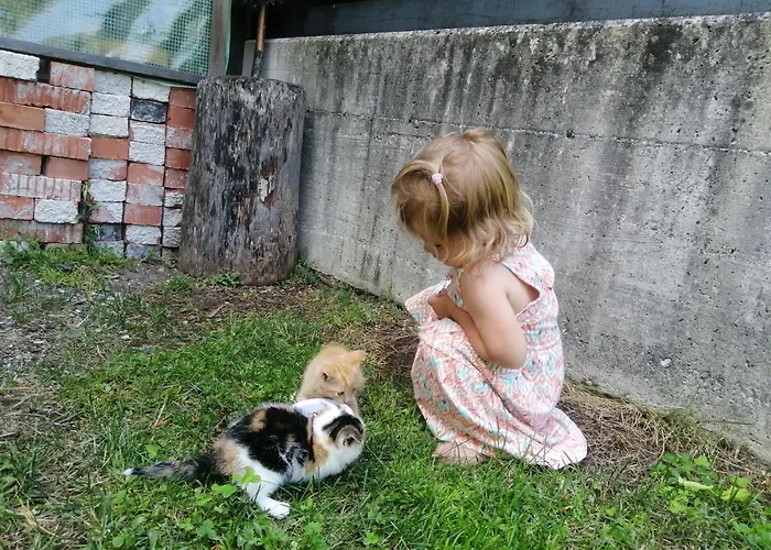 Gospodarstwo agroturystyczne Hintergugg *