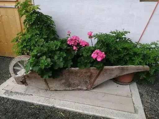 Hintergugg * Mittersill