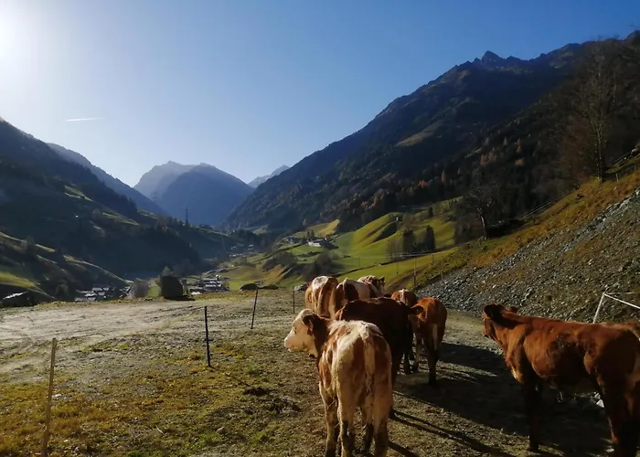 Hintergugg * Mittersill